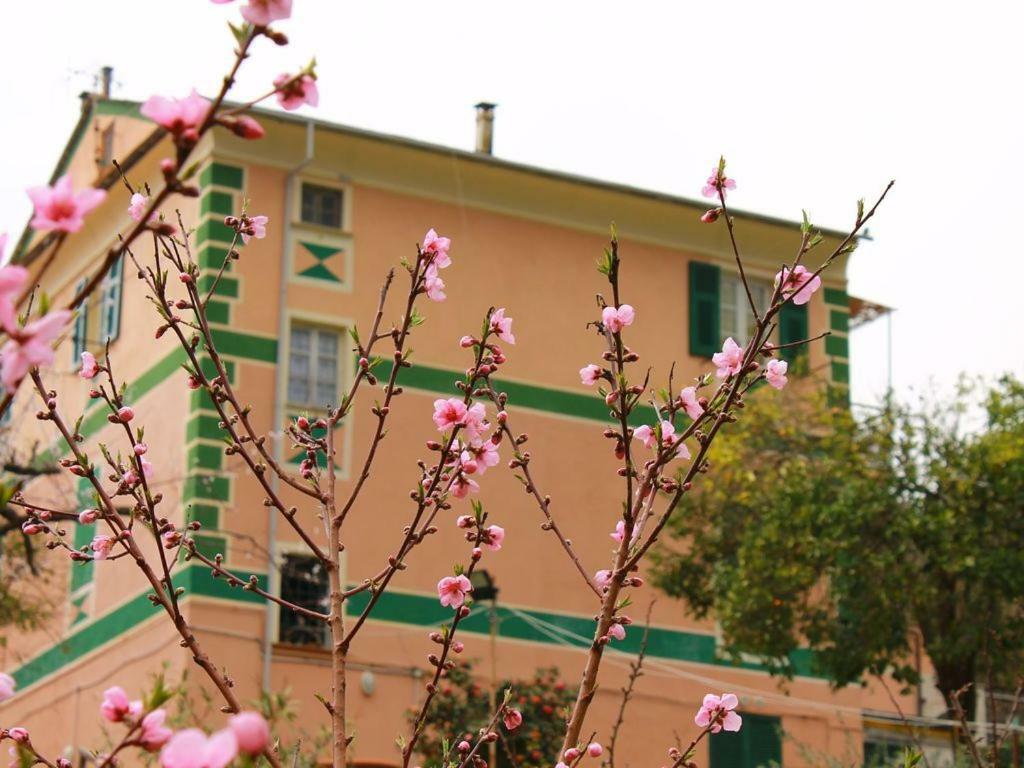 Appartamento Di Prestigio- Ca Da Lina - Deiva Marina Exterior photo